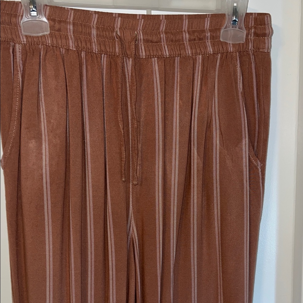 American Eagle Outfitters Brown Striped Joggers